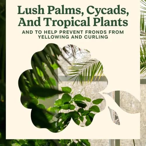 Miracle-Gro Shake 'N Feed Palm Plant Food, 8 lb. | Supports lush palms & tropicals thumbnail 6