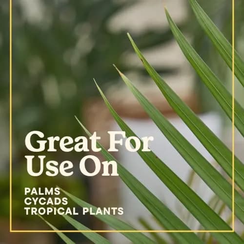Miracle-Gro Shake 'N Feed Palm Plant Food, 8 lb. | Supports lush palms & tropicals thumbnail 9