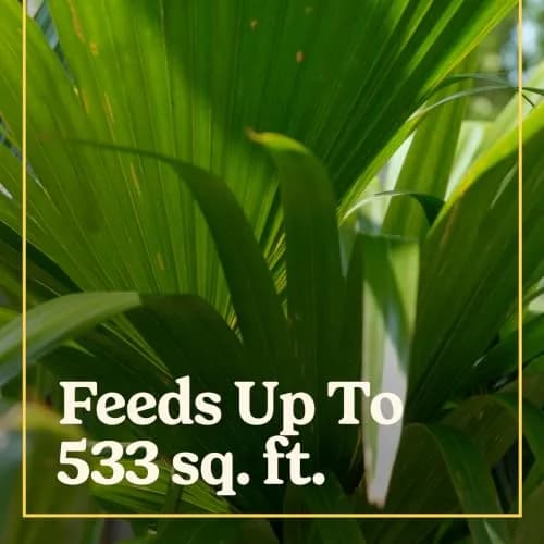 Miracle-Gro Shake 'N Feed Palm Plant Food, 8 lb. | Supports lush palms & tropicals thumbnail 3