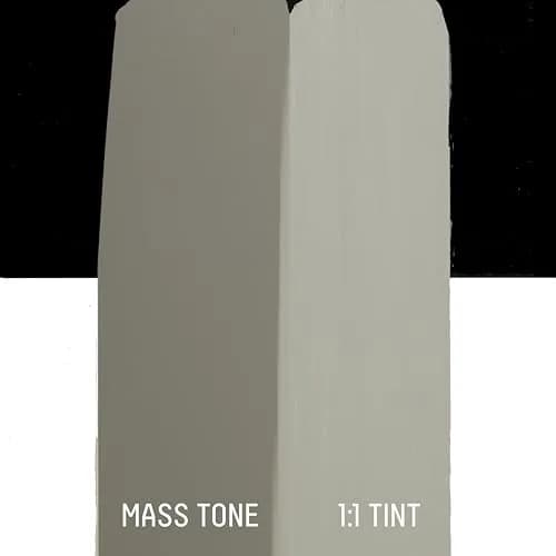 Liquitex BASICS Acrylic Paint, Neutral Gray Value 5, 250ml (8.45 Fl Oz) | ASTM D4236 Certified thumbnail 3