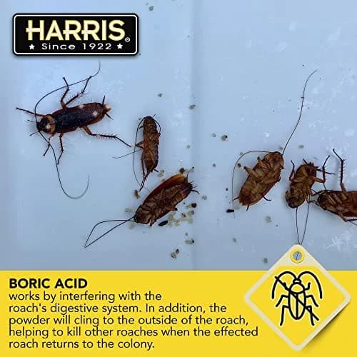 HARRIS Boric Acid Roach and Silverfish Killer Powder 16oz | EPA Registered Insecticide thumbnail 6