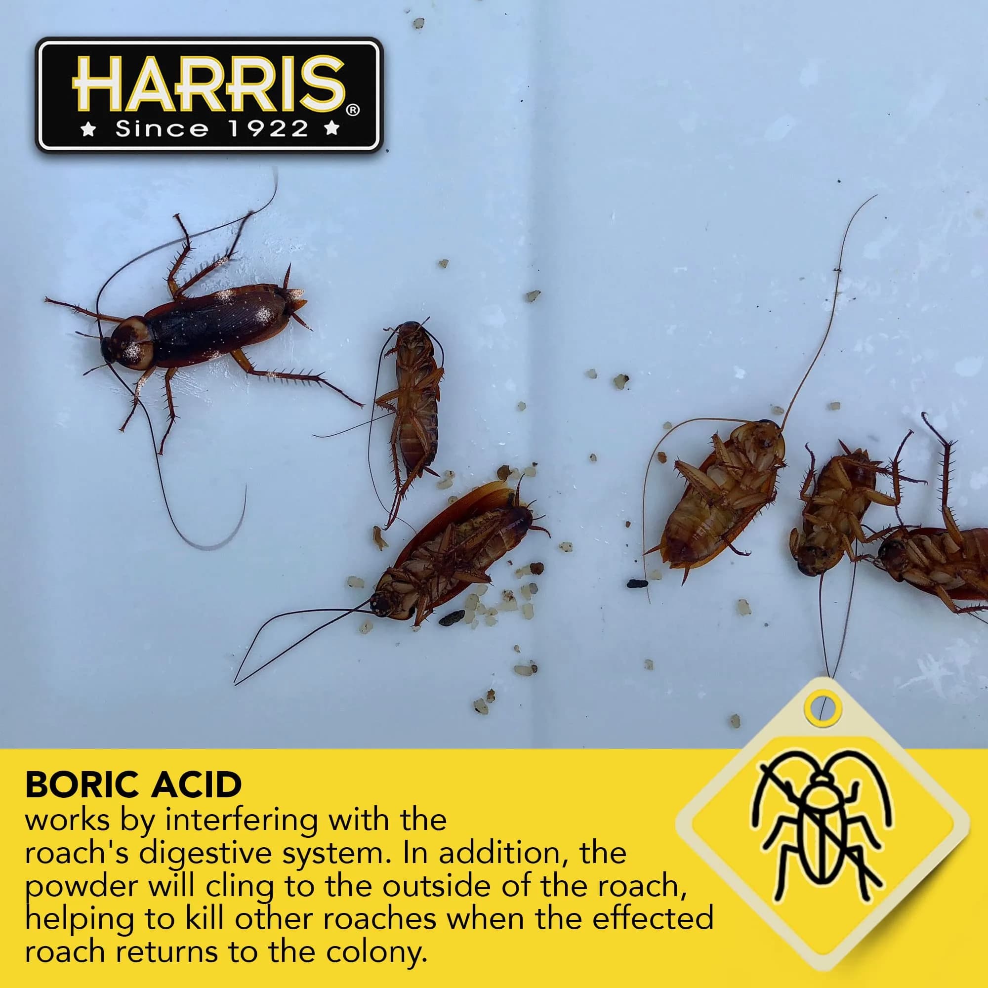 HARRIS Boric Acid Roach and Silverfish Killer Powder 16oz | EPA Registered Insecticide - view 6
