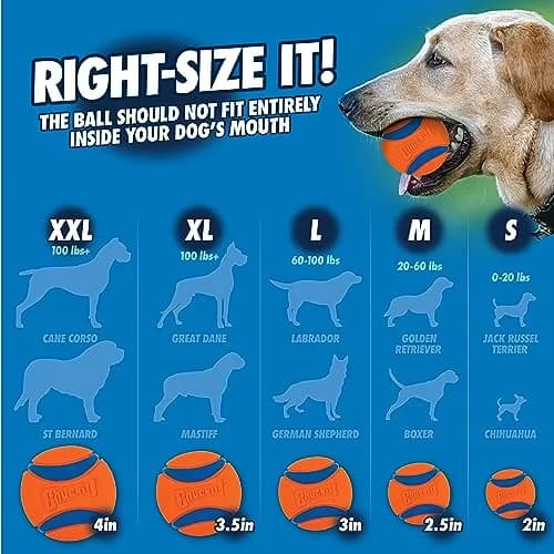 Chuckit! Sport 25M Dog Ball Launcher, 25in Length | Enhance Fetch & Play thumbnail 6