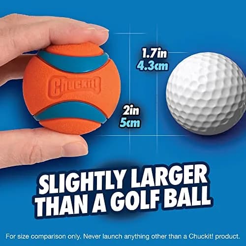Chuckit! Ultra Ball Dog Toy, Small 2-in (5 cm), 2-Pack | Durable Rubber Fetch Ball for Small Breeds thumbnail 6