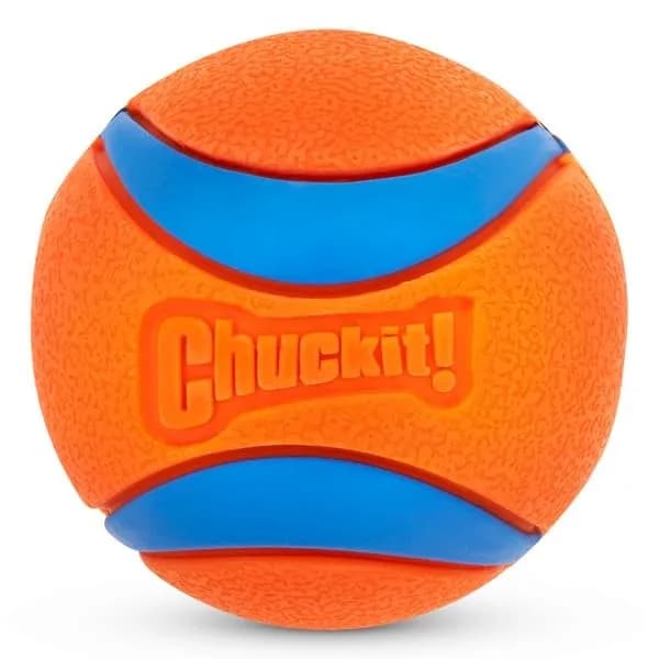 Chuckit! Ultra Ball Dog Toy, Small 2-in (5 cm), 2-Pack | Durable Rubber Fetch Ball for Small Breeds thumbnail 4