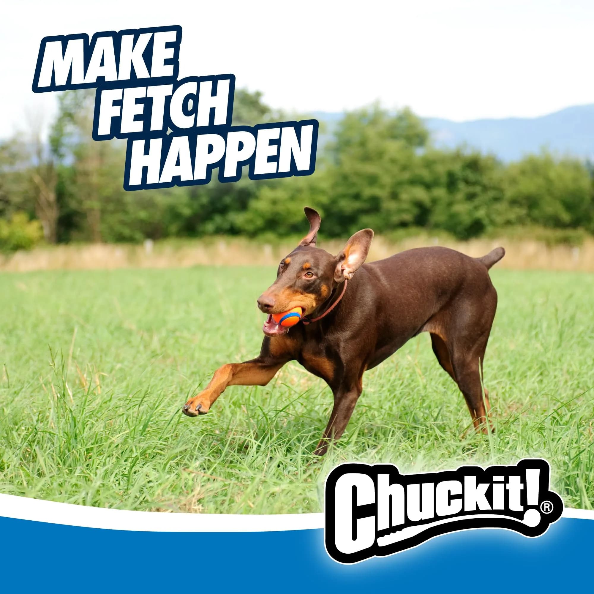 Chuckit! Ultra Ball Dog Fetch Toy 7.6 cm (3 in) | Durable Rubber, High Bounce, Floats - view 6