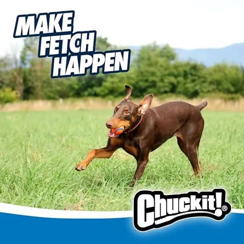 Chuckit! Ultra Ball Dog Fetch Toy 7.6 cm (3 in) | Durable Rubber, High Bounce, Floats thumbnail 6