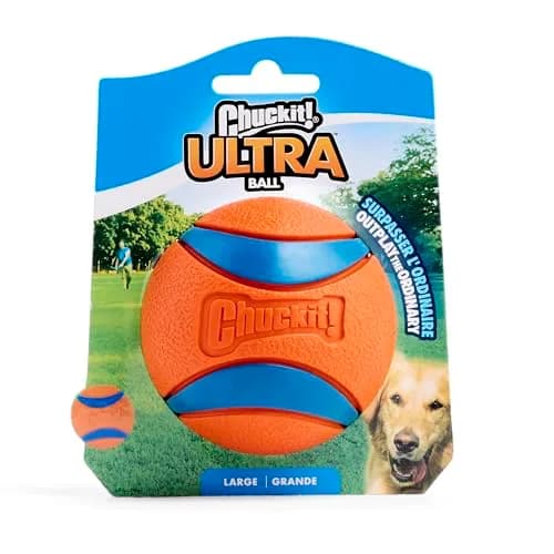 Chuckit! Ultra Ball Dog Fetch Toy 7.6 cm (3 in) | Durable Rubber, High Bounce, Floats thumbnail 7