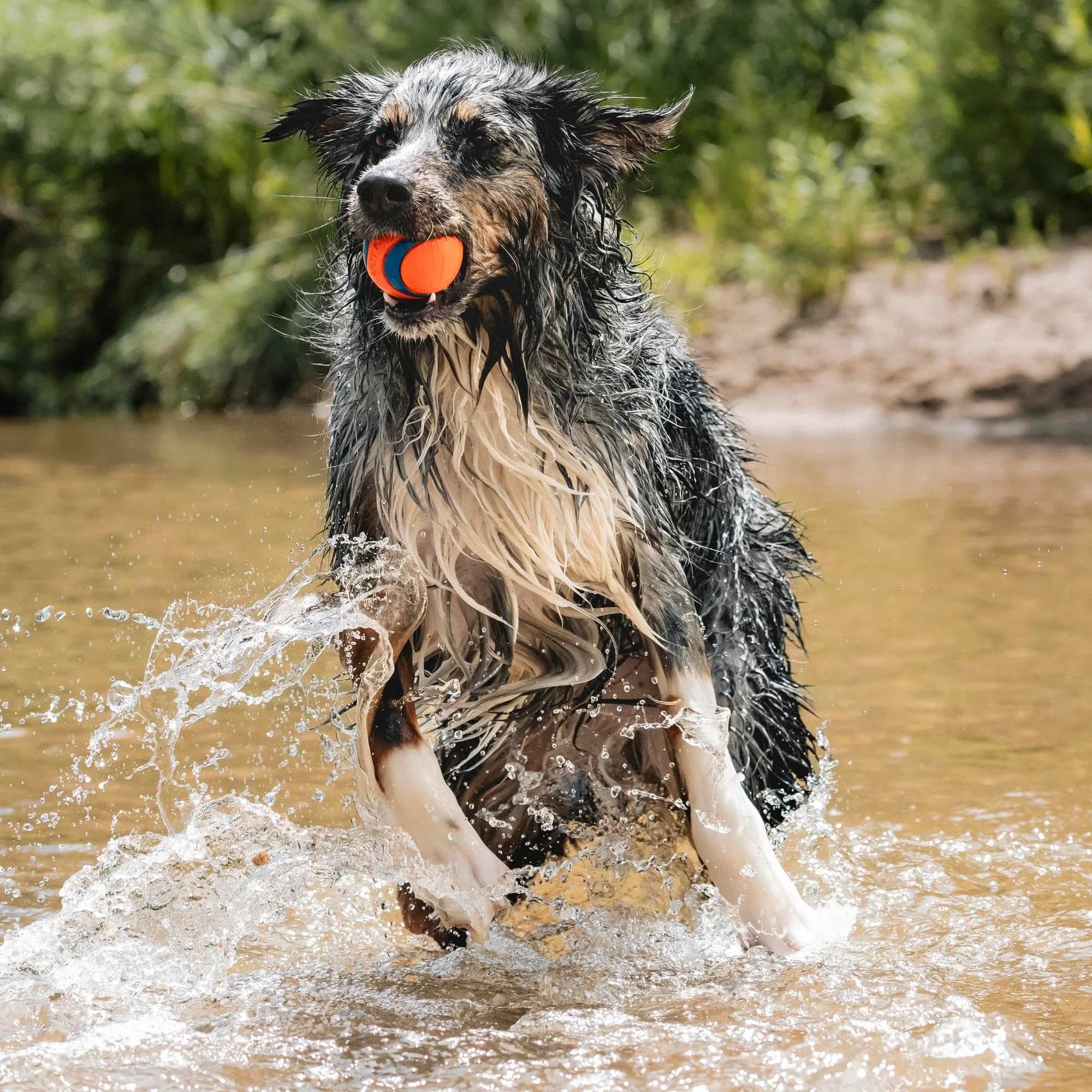 Chuckit! Ultra Ball Dog Fetch Toy, Large 3in, for 60-100lbs Dogs, Floats - view 3