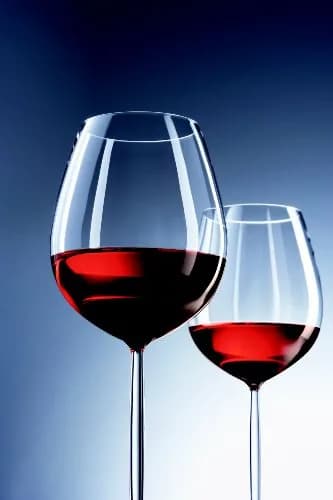Schott Zwiesel Tritan Crystal Glass Diva Stemware Collection Burgundy Red Wine Glass, 15-1/2-Ounce, Set of 6 | Elegant, Break-Resistant Wine Glasses thumbnail 3