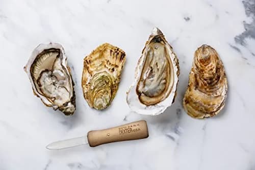 Dexter Outdoors Oyster Knife 2.75-inch New Haven Pattern | Traditional Seafood Tool thumbnail 2