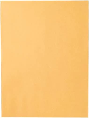 Mead Clasp Envelopes 9" x 12" (22.9cm x 30.5cm) | Heavyweight Brown Kraft Paper Mailing Envelopes, 20 Count thumbnail 4