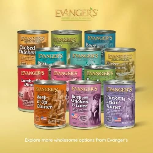 Evanger's Heritage Classic Chicken & Rice Dinner – 12 Pack, 12.5 oz | Gluten-Free, Complete for All Life Stages thumbnail 4