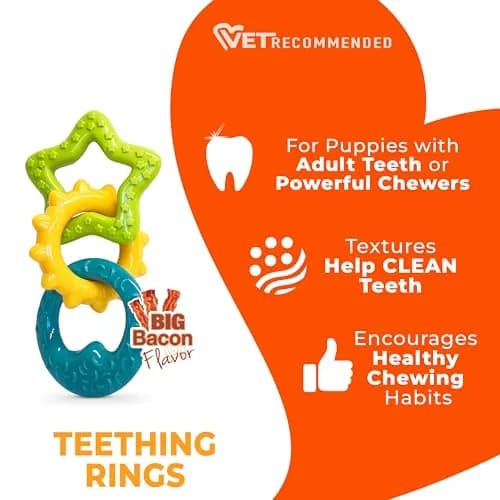 Nylabone Puppy Power Chew Teething Rings Dog Chew Toy, Bacon Flavor, Small | Durable Nylon Chew for Puppies Up to 25 lbs thumbnail 4