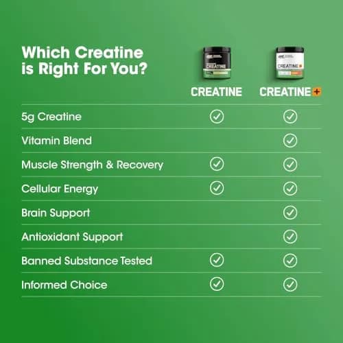 Optimum Nutrition Micronized Creatine Monohydrate Powder 600g (1.32 lb) | Supports Strength & Recovery thumbnail 9