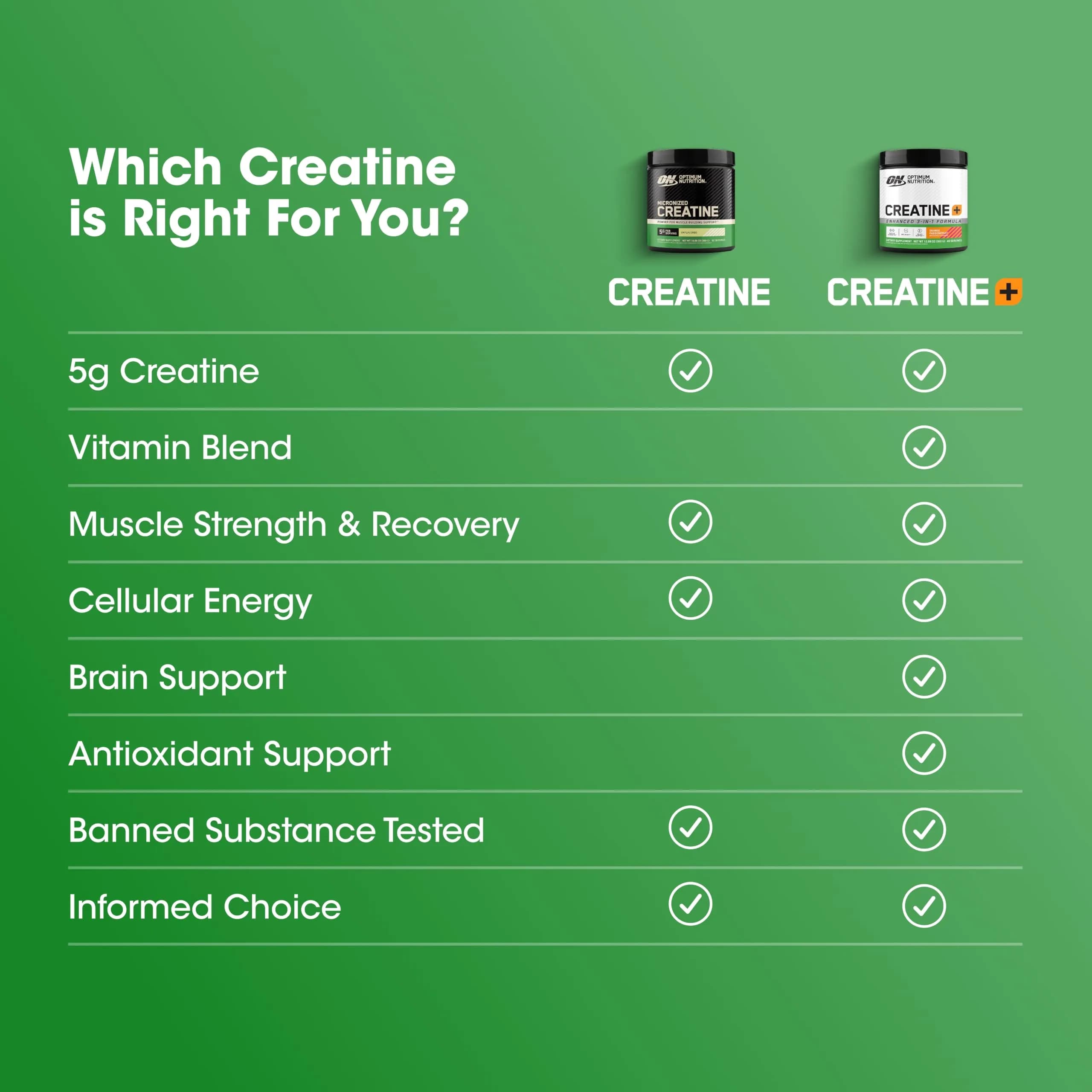 Optimum Nutrition Micronized Creatine Monohydrate Powder 600g (1.32 lb) | Supports Strength & Recovery - view 9