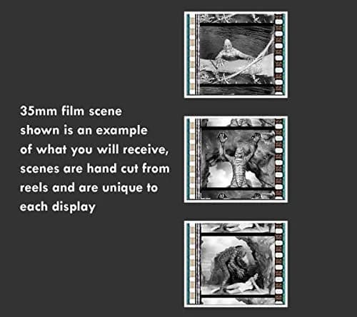 FILMCELLS Creature Black Lagoon Wall Art | 13 x 11 Framed Horror Collectible thumbnail 5
