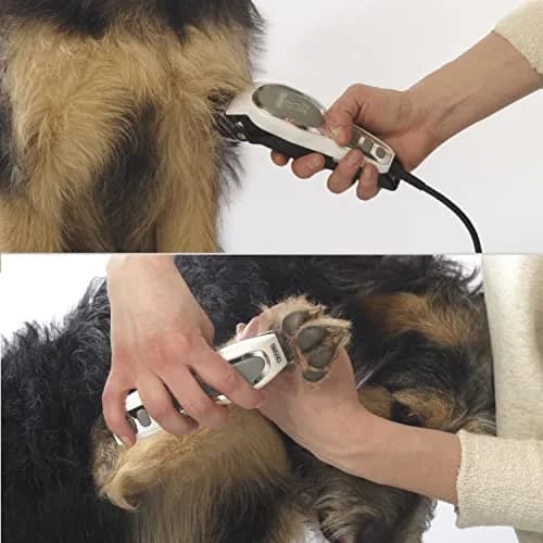 Wahl Pet-Pro Corded Clipper & Battery Trimmer for Dogs | High Carbon Steel Blades, Quiet & Stress-Free Grooming thumbnail 4