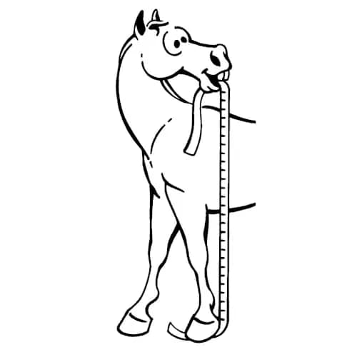 Tough 1 Sure Measure Horse and Pony Height/Weight Tape | Estimates Weight in KG & LB, Height in Hands & CM thumbnail 2
