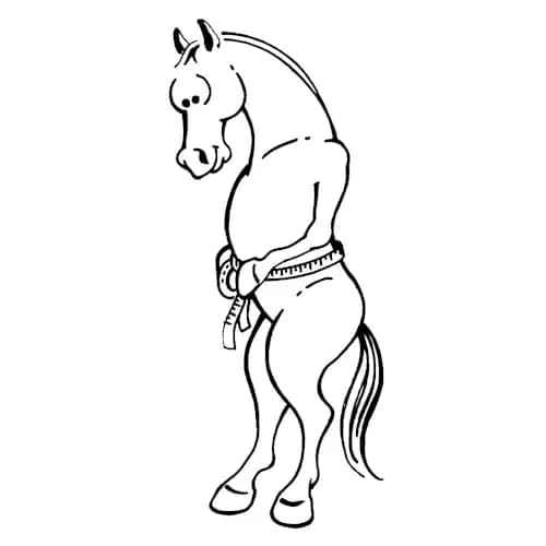Tough 1 Sure Measure Horse and Pony Height/Weight Tape | Estimates Weight in KG & LB, Height in Hands & CM thumbnail 3