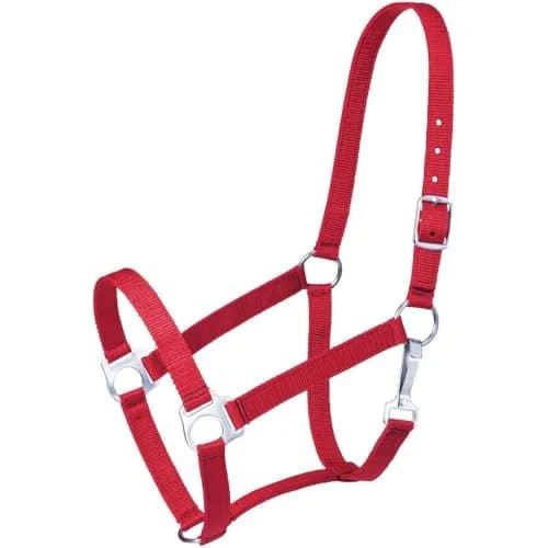 Tough 1 Economy Horse Halter - Red | Nylon, Adjustable Fit, Nickel Hardware thumbnail 1