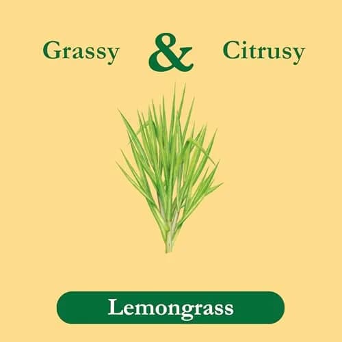 Tadin Lemongrass Tea, Herbal Tea, Caffeine Free, 24 Tea Bags | Citrus & Lemon Notes, Supports Relaxation thumbnail 2