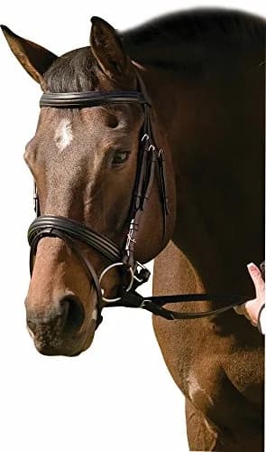 Henri de Rivel Padded Dressage Bridle with Crank Flash Noseband and Web Reins | Elegant, Durable, Black thumbnail 1