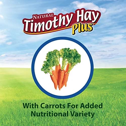Kaytee All Natural Timothy Hay Plus Carrots for Guinea Pig & Rabbit | High Fiber, Fresh, USA Grown thumbnail 8