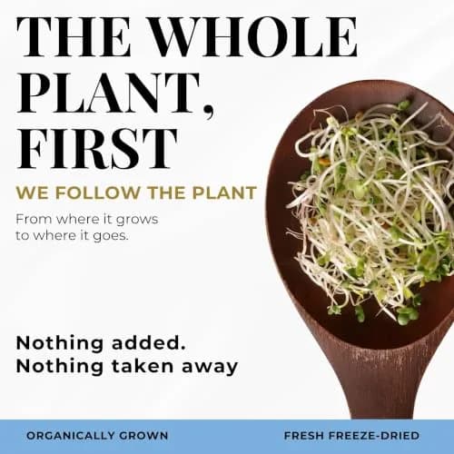 ECLECTIC INSTITUTE Organic Broccoli Sprouts Capsules 150 CT | Antioxidants & Cellular Support thumbnail 9