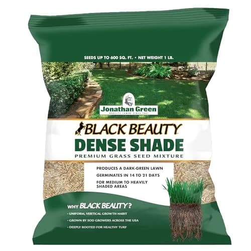 Jonathan Green Black Beauty Dense Shade Grass Seed 1 lb (0.45 kg) | Cool Season Lawn Seed for Shady Areas — 1 lb