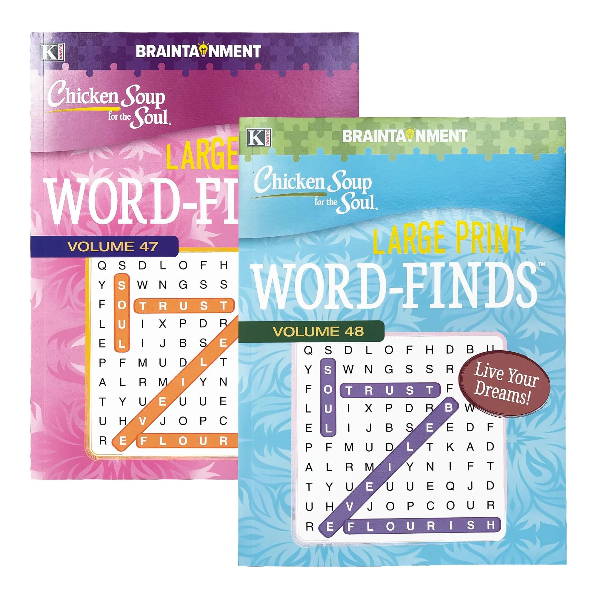 BAZIC PRODUCTS Large Print Chicken Soup for the Soul Puzzle Book, 2 Titles, Set of 2 | Brain Teasing & Fun for All Ages