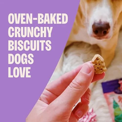 Old Mother Hubbard Winter Fun P-Nuttier Dog Biscuits 16 oz | Natural Seasonal Holiday Treat thumbnail 2