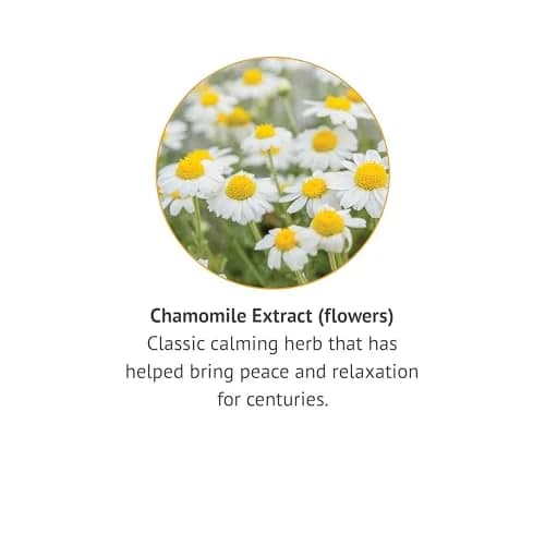Botanic Choice Chamomile Flower Alcohol Free Liquid Extract 1 Fl Oz | Calming Herb for Relaxation thumbnail 4