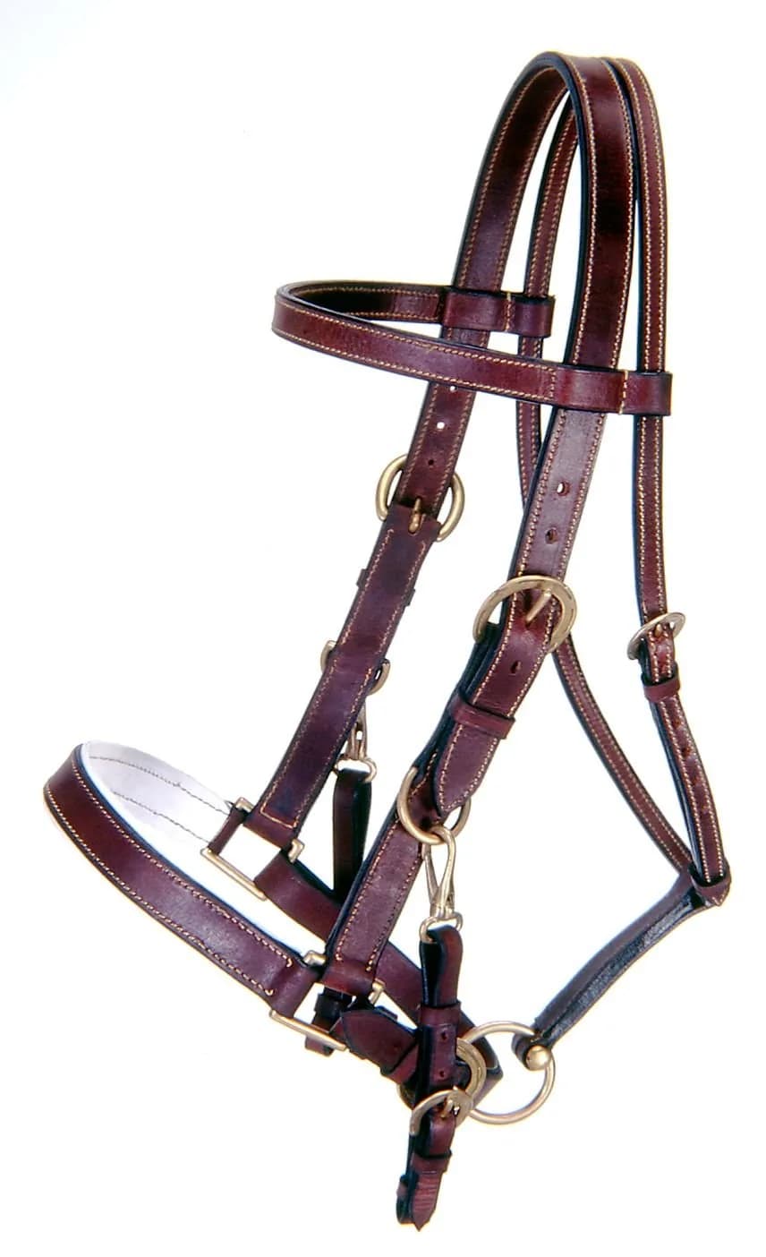 Tough 1 Australian Equestrian Leather Horse Halter - Brown | Bridle Conversion with Side Snaps — Brown