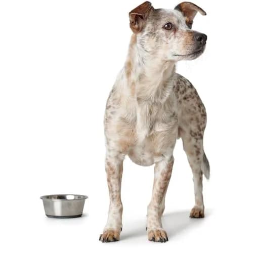 Hunter Stainless Steel Dog Bowl - 2700 ML | Non-Slip, Dishwasher Safe, Medium thumbnail 4