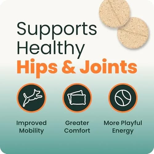 VetriScience Glycoflex 3 Hip and Joint Supplement for Dogs 120 Count | Clinically Proven Dog Joint Support thumbnail 5