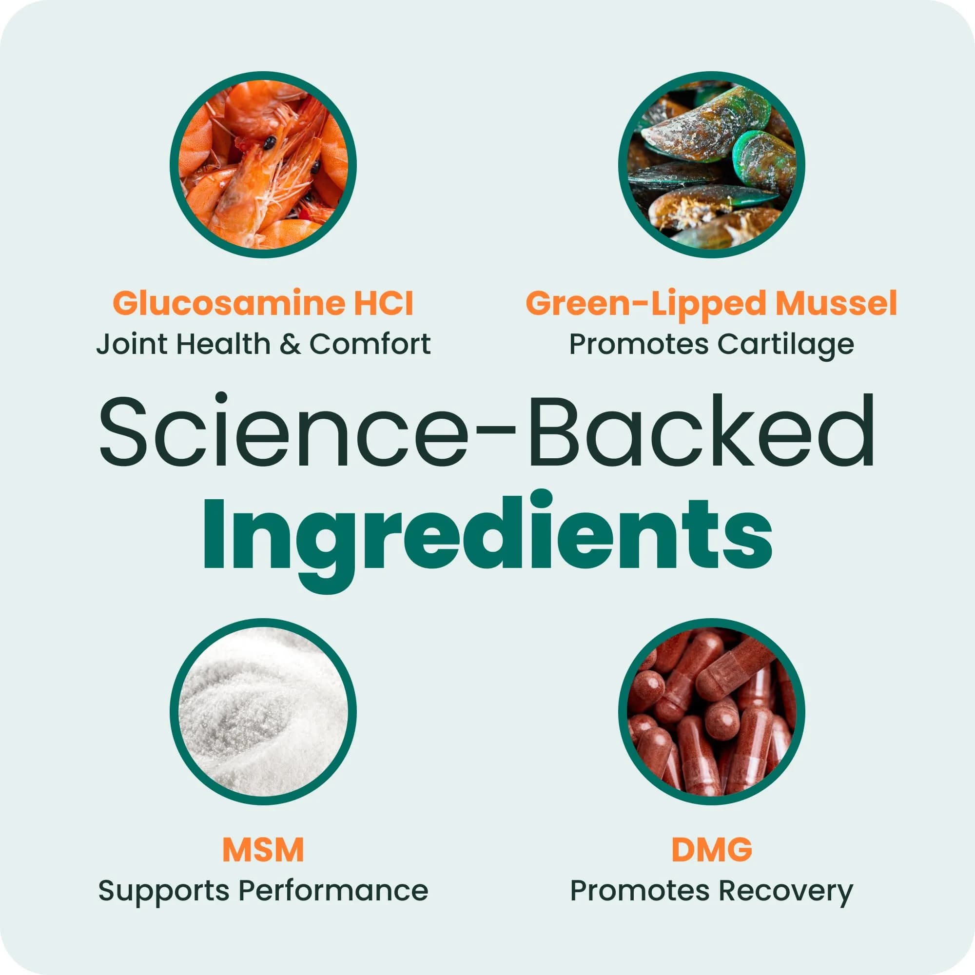 VetriScience Glycoflex 3 Hip and Joint Supplement for Dogs 120 Count | Clinically Proven Dog Joint Support - view 6