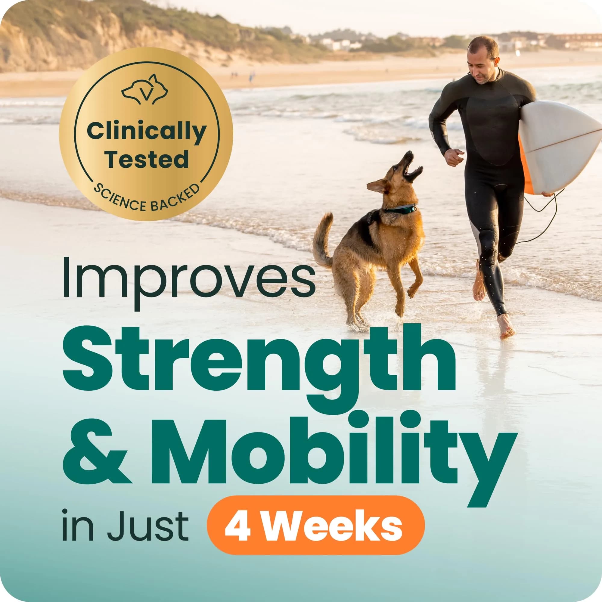 VetriScience Glycoflex 3 Hip and Joint Supplement for Dogs 120 Count | Clinically Proven Dog Joint Support - view 4