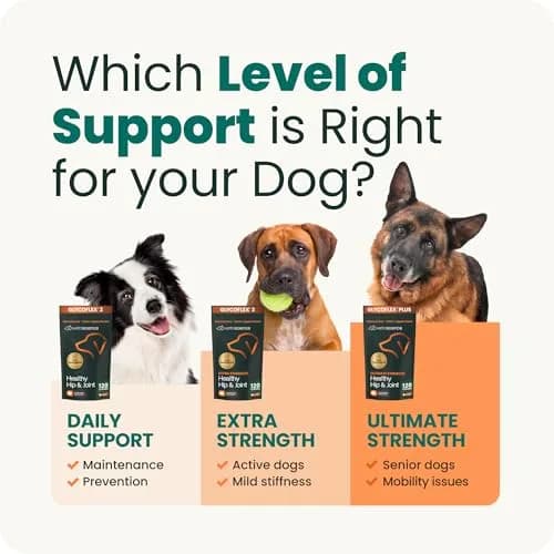 VetriScience Extra Strength Hip & Joint Dog Chews | 120 Chews (272g) thumbnail 8