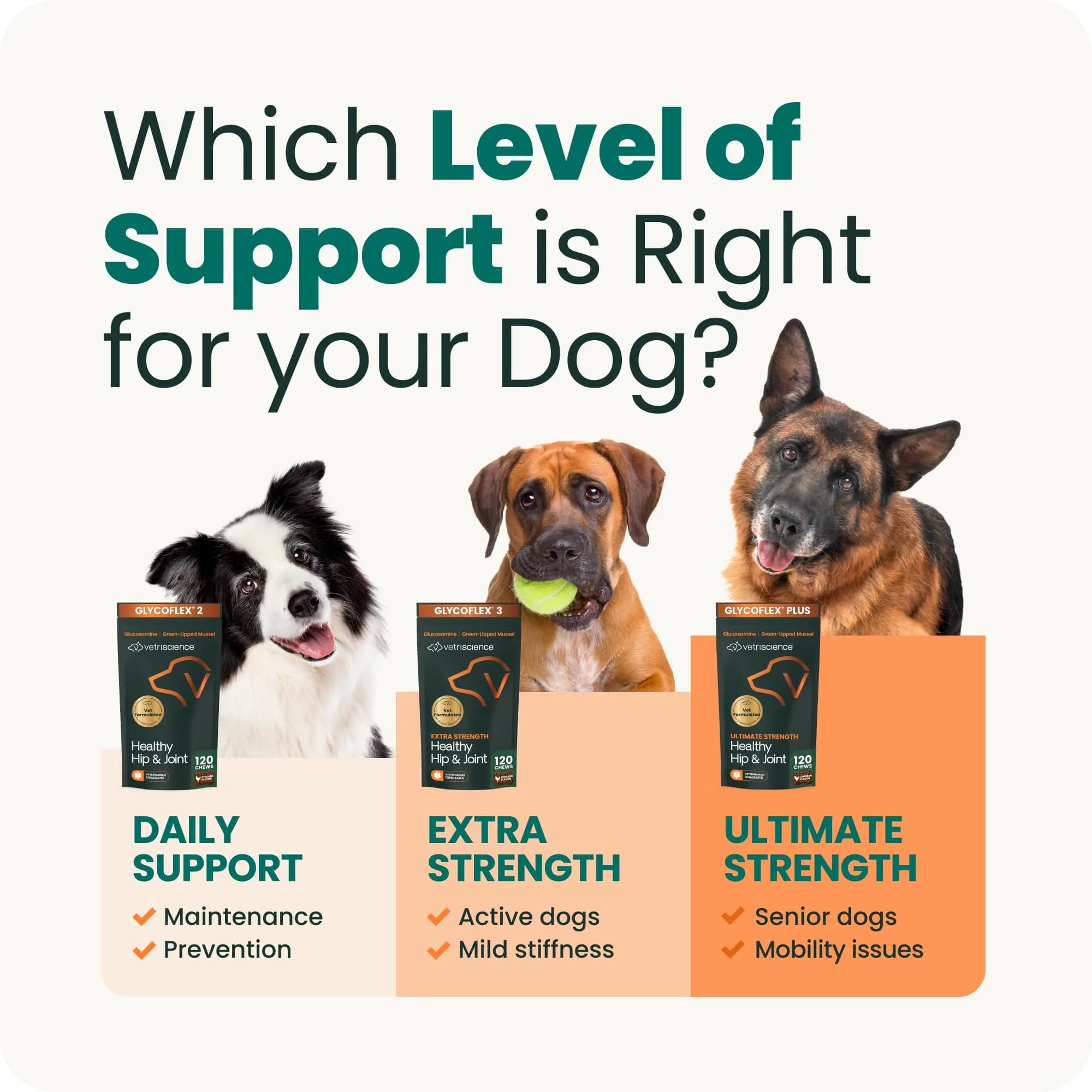 VetriScience Extra Strength Hip & Joint Dog Chews | 120 Chews (272g) - view 8