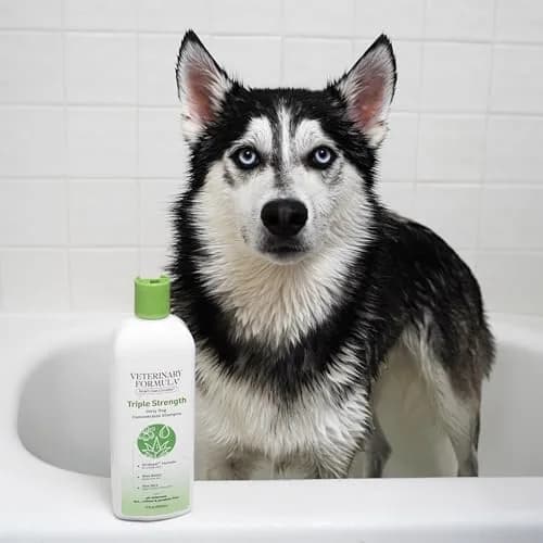 Veterinary Formula Smart Coat Triple Strength Dirty Dog Shampoo, 17 oz | Deep Clean & Moisturize for Heavy-Duty Dog Fur thumbnail 6