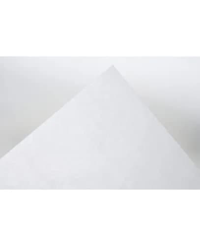 Yasutomo Hanshi Paper 9 1/2" x 13" | Traditional Japanese Rice Paper for Art & Calligraphy thumbnail 5