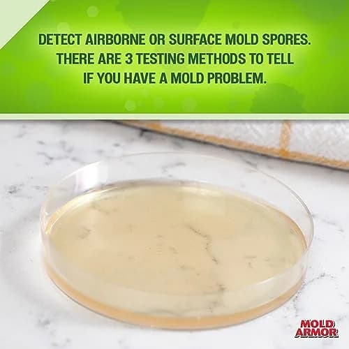 Mold Armor Do It Yourself Mold Test Kit | 48-Hour Results for Indoor/Outdoor Air Quality & Surface Spores thumbnail 3