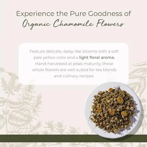 Starwest Botanicals Organic Chamomile Flowers Whole - 16 Oz | Pure Egyptian Herb for Tea & Baking thumbnail 2