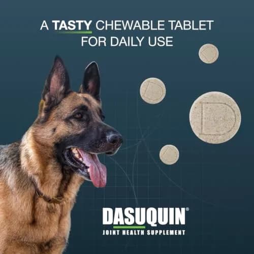 Nutramax Dasuquin Joint Health Supplement Large Dogs Chew Tablets 84 Count (2.3 kg / 5 lb) | Vet-Recommended Canine Mobility Support thumbnail 4