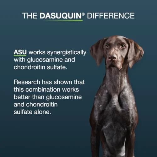 Nutramax Dasuquin Joint Health Supplement Large Dogs Chew Tablets 84 Count (2.3 kg / 5 lb) | Vet-Recommended Canine Mobility Support thumbnail 6