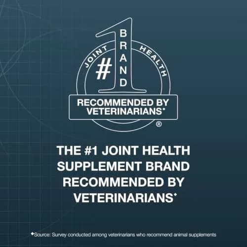 Nutramax Dasuquin Joint Health Supplement Large Dogs Chew Tablets 84 Count (2.3 kg / 5 lb) | Vet-Recommended Canine Mobility Support thumbnail 2