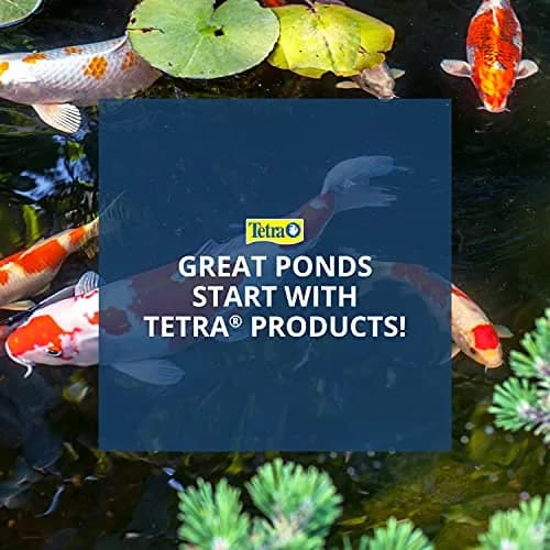 TetraPond Water Garden Pump 550 GPH (2082 LPH) | Powers Waterfalls, Filters, Fountain Heads thumbnail 9