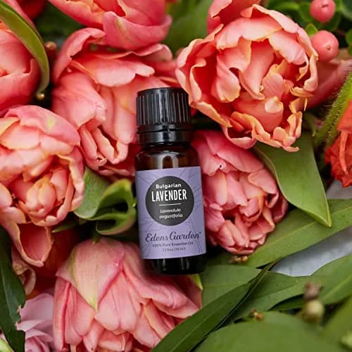 Edens Garden Lavender Bulgarian Essential Oil 30 ml | Pure, Therapeutic & Relaxing thumbnail 2