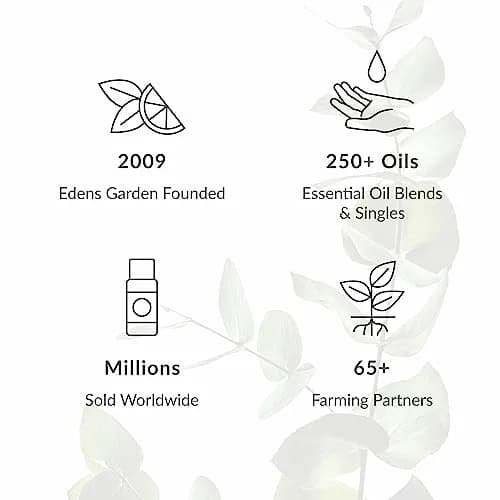 Edens Garden Meditation Essential Oil Blend 10 ml (0.33 Fl Oz) | Pure Aromatherapy for Calm thumbnail 6